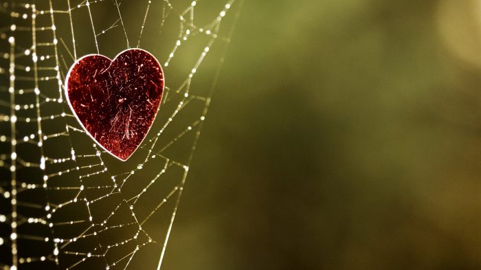 Heart-Of-The-Spider-Wallpaper-1080p